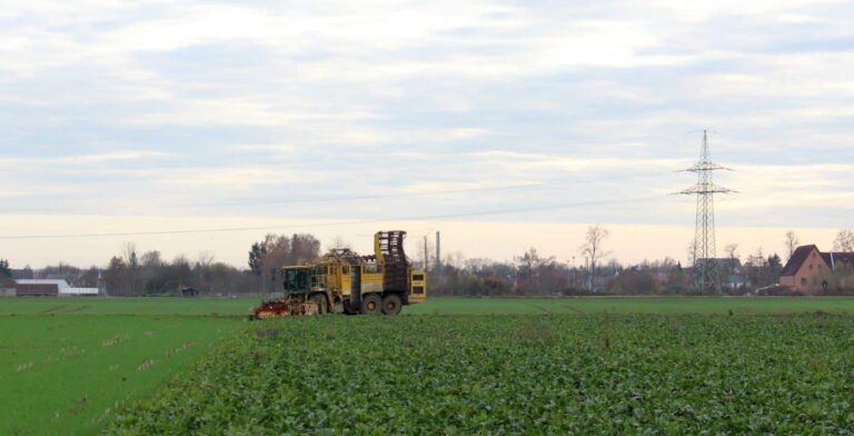 Die EU ignoriert die Realitäten am Zuckermarkt