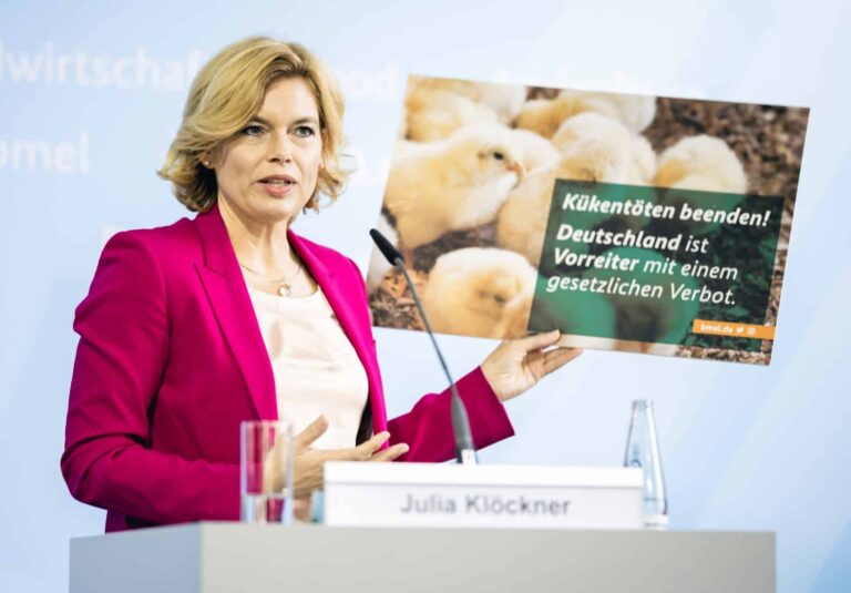 Verbot des Kükentötens kommt