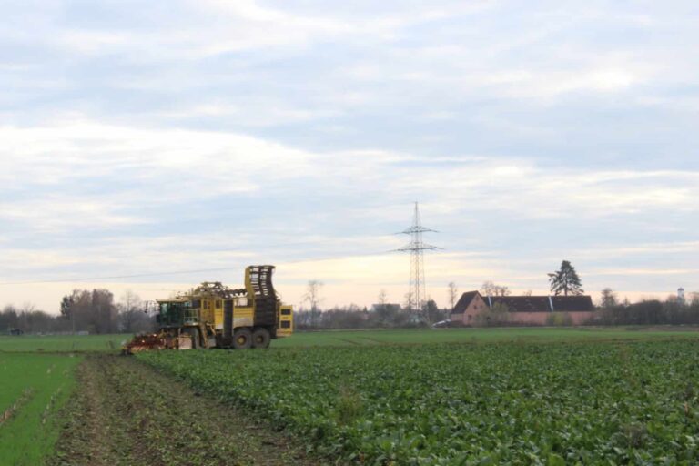 Widerruf der Zulassung des Pflanzenschutzmittels GALLANT SUPER rückwirkend zum 31. Dezember 2020