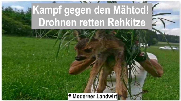 Drohnen zur Rehkitzrettung 2025: Neue Förderperiode startet