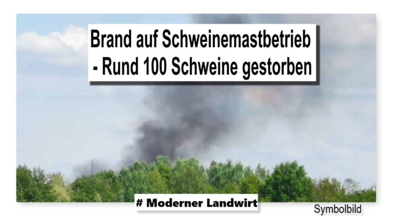 Brand auf Schweinemastbetriebs in Trochtelfingen-Steinhilben – Rund 100 Schweine gestorben