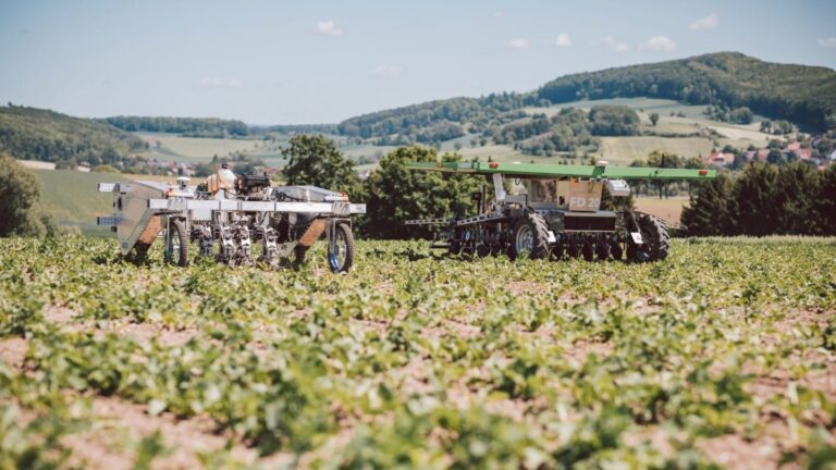 Testergebnisse mit Unkrautrobotern zeigen Perspektiven für eine nachhaltigere und profitablere Landwirtschaft