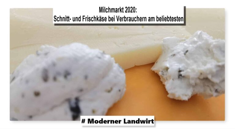 Milchmarkt 2020: Schnitt- und Frischkäse bei Verbrauchern am beliebtesten