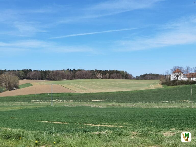 Novelle des Klimaschutzgesetzes muss Land- und Forstwirtschaft mehr berücksichtigen