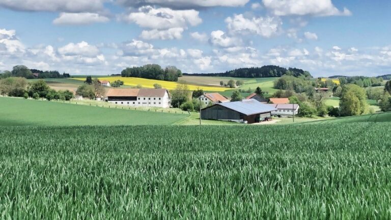 Neue Regelungen zum Fruchtfolgewechsel ab 2025