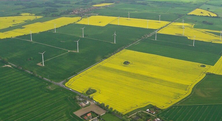 FREIE BAUERN für Bauernhöfe statt Agrarkonzerne