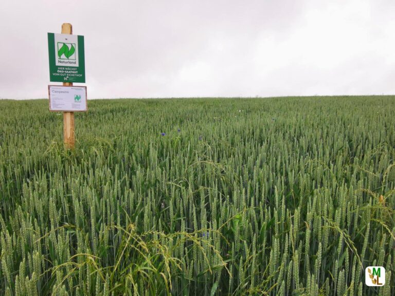 Trend zur Steigerung der Nachfrage nach Bio-Produkten hält weiter an – Bundeslandwirtschaftsministerium veröffentlicht Ergebnisse des „Öko-Barometer 2021“