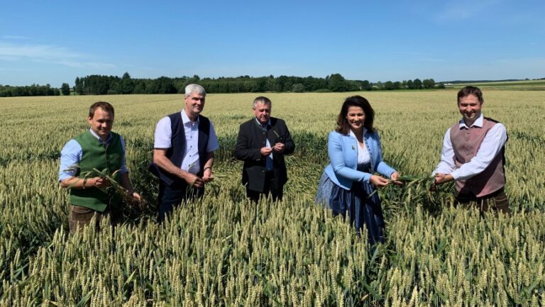 „Grüne Ideologie statt europäischer Solidarität“ – Ministerin Michaela Kaniber bedauert Festhalten an Flächen-Stilllegungen in Deutschland trotz drohendem Mangel