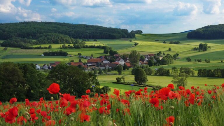 FREIE BAUERN raten von Beteiligung am Transformationsprozess der Landwirtschaft ab