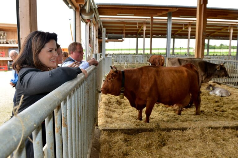 Auszeichnung für vier landwirtschaftliche Tierhalter – Ministerin Kaniber überreichte den Tierwohlpreis 2021