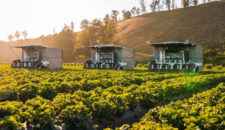 Automatisierte Erdbeerernte – Kubota investiert in Start-up AFT