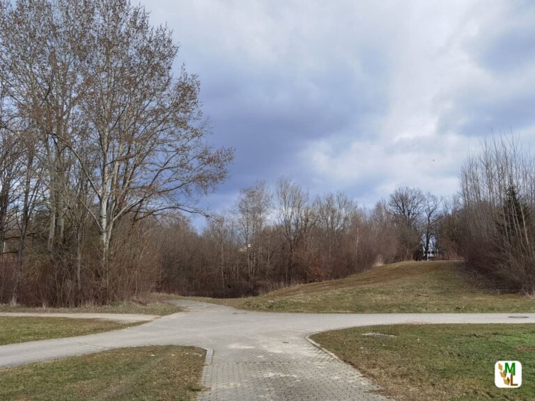 Wie wählt der Deutsche Verbraucher beim Thema nachhaltige Landwirtschaft?