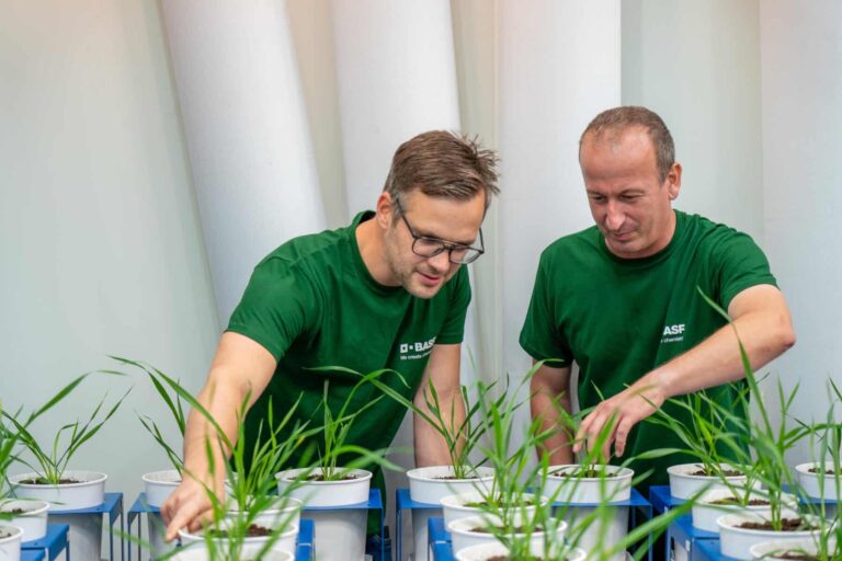 BASF stellt Portfolio für klimafreundliche Landwirtschaft vor