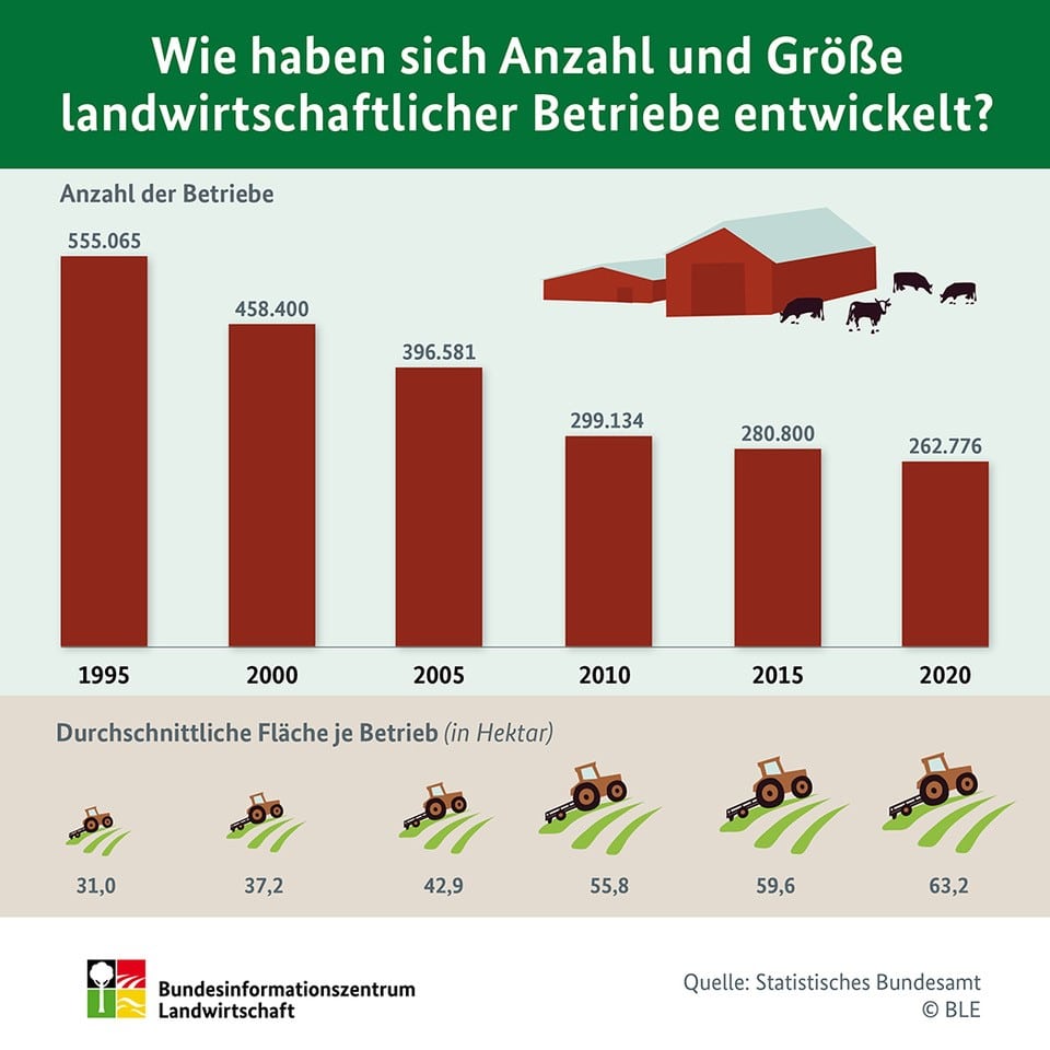 BZL Infografik Entwicklung Betriebsstruktur 1