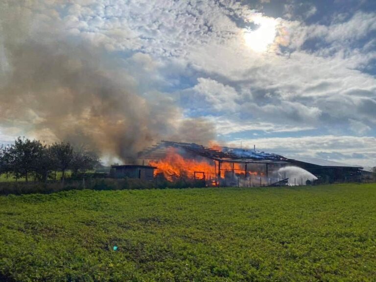 Brand einer Maschinenhalle mit Photovoltaikanlage in Alfdorf verursacht hohen Sachschaden