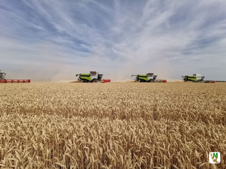 Importpreise im April 2022: +31,7 % gegenüber April 2021