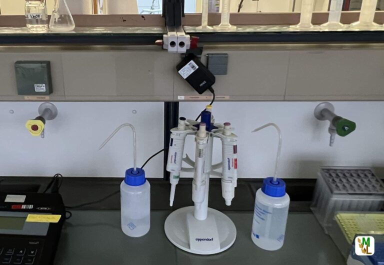 „Kreislauf statt Laborfleisch“: FREIE BAUERN kritisieren „Clean Meat“ und fordern Stärkung der Tierhaltung