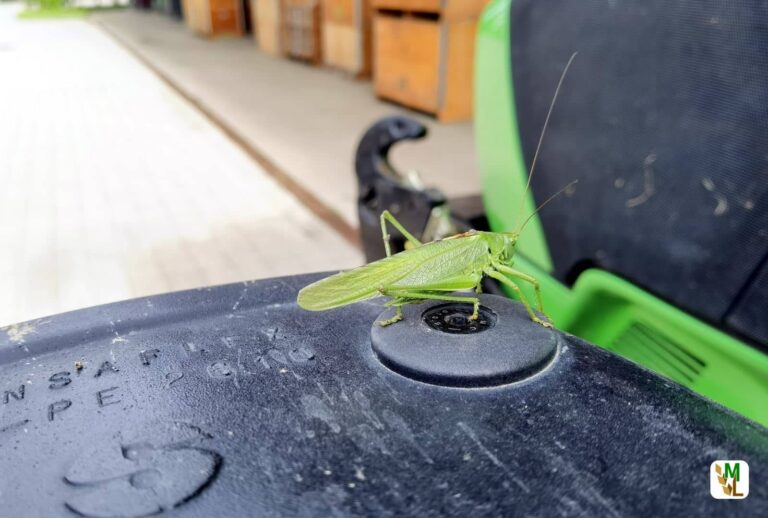 Über 450.000 Unterschriften für die Bürgerinitiative Bienen und Bauern retten