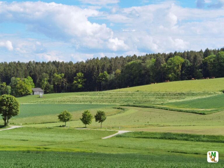 Sieben Punkte zur geplanten GAP-Reform – Dringender Appell an die politischen Verantwortlichen