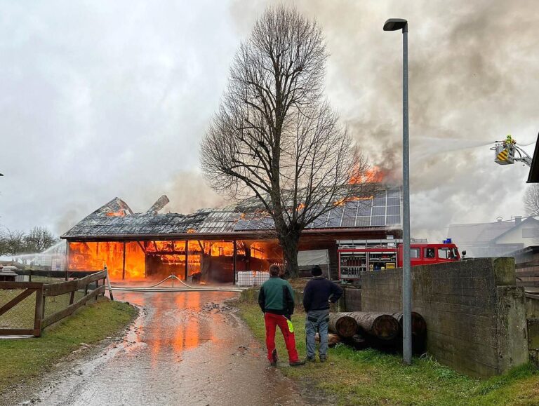 Brand einer landwirtschaftlichen Halle in Gmeinweiler – 500.000 Euro Schaden