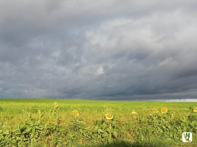 Inflationsrate im April 2022 voraussichtlich +7,4 %