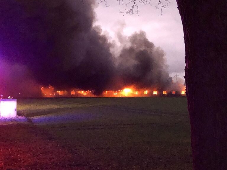 Stallbrand in einem landwirtschaftlichen Betrieb – 750 tragende Sauen können nicht mehr gerettet werden