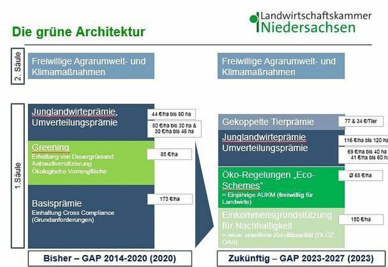 Basisprämie ab 2023 – Weniger Geld für mehr Auflagen