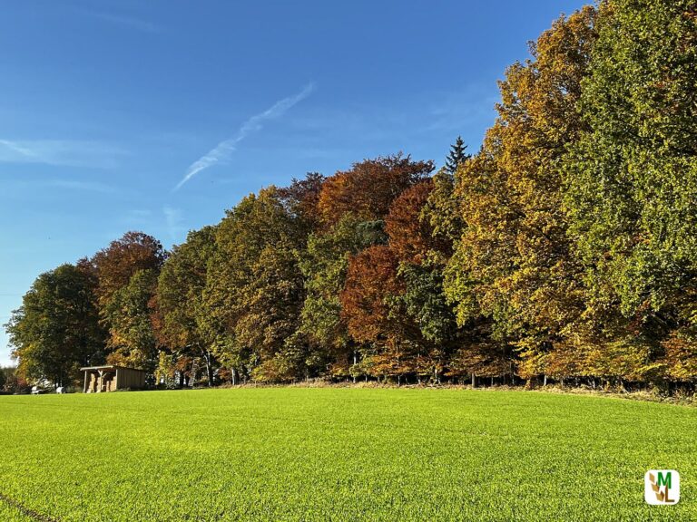 Kaniber: EU-Verordnung gefährdet Waldumbau und Landwirtschaft