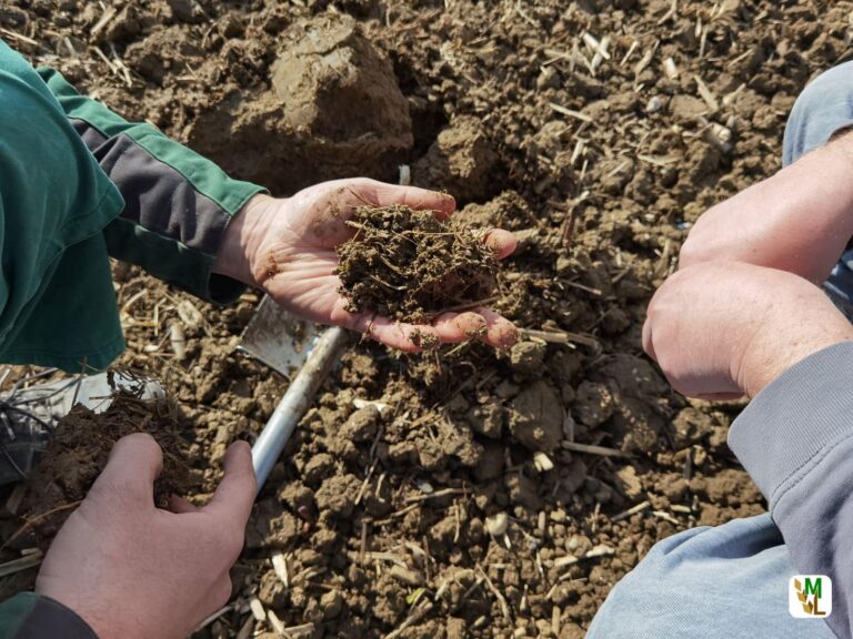 Bundeslandwirtschaftsminister Özdemir gibt Startschuss für Humusprojekt von BÖLW und DBV