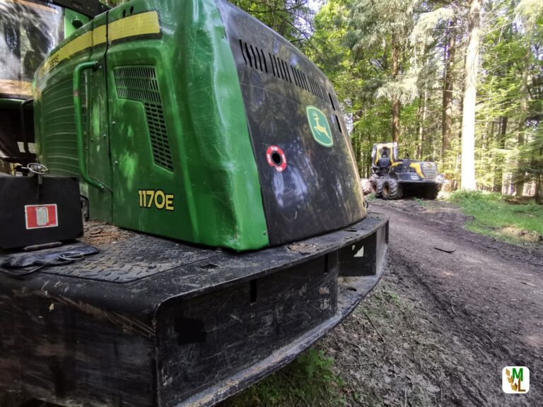 Kürzung von Bundeszuschüssen für Unfallversicherung belastet Forstbetriebe in angespannter Liquiditätslage