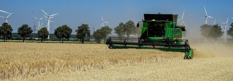 Erster DBV-Erntebericht 2022 – Trockenschäden im Schwerpunkt beim Weizen