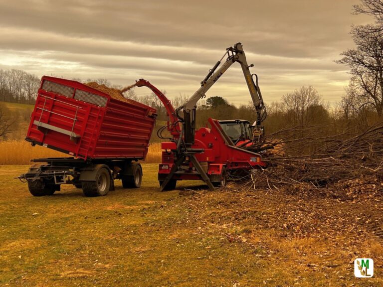 Bundesministerien legen gemeinsame Eckpunkte für eine Nationale Biomassestrategie vor