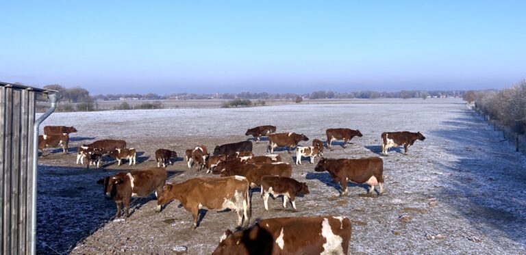 FREIE BAUERN warnen vor Zerrbild – Bauern sind nicht die Inflationstreiber!