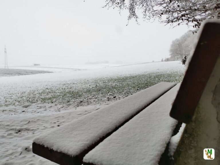 Rechtliche Änderungen zum Jahreswechsel 2022/23 – Eine Übersicht über die Änderungen für die Landwirtschaft
