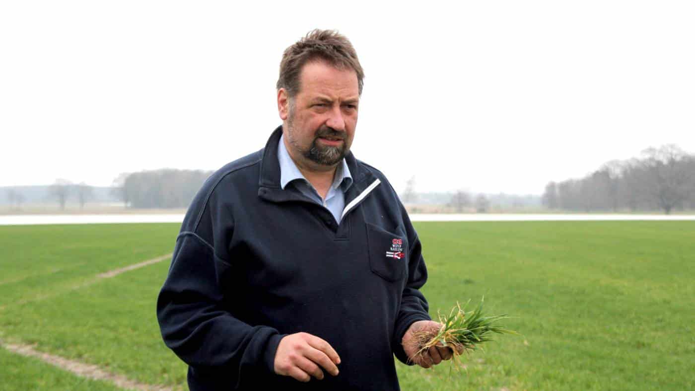 20220329 Hennies Wintergerste ub scaled 1 1