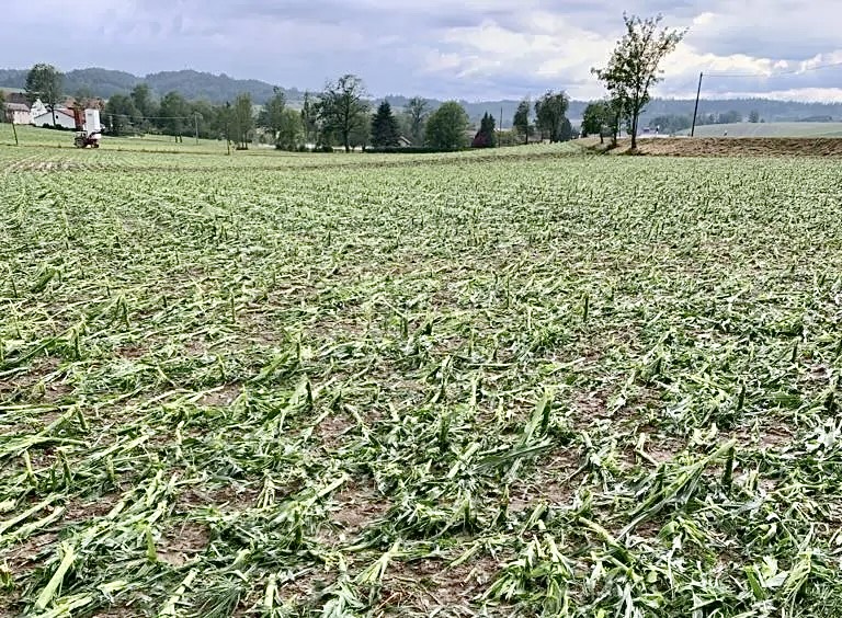 Auf Rahmenvereinbarung bei Mehrgefahrenversicherung achten –  Bayern unterstützt Betriebe bei der Risiko-Vorsorge