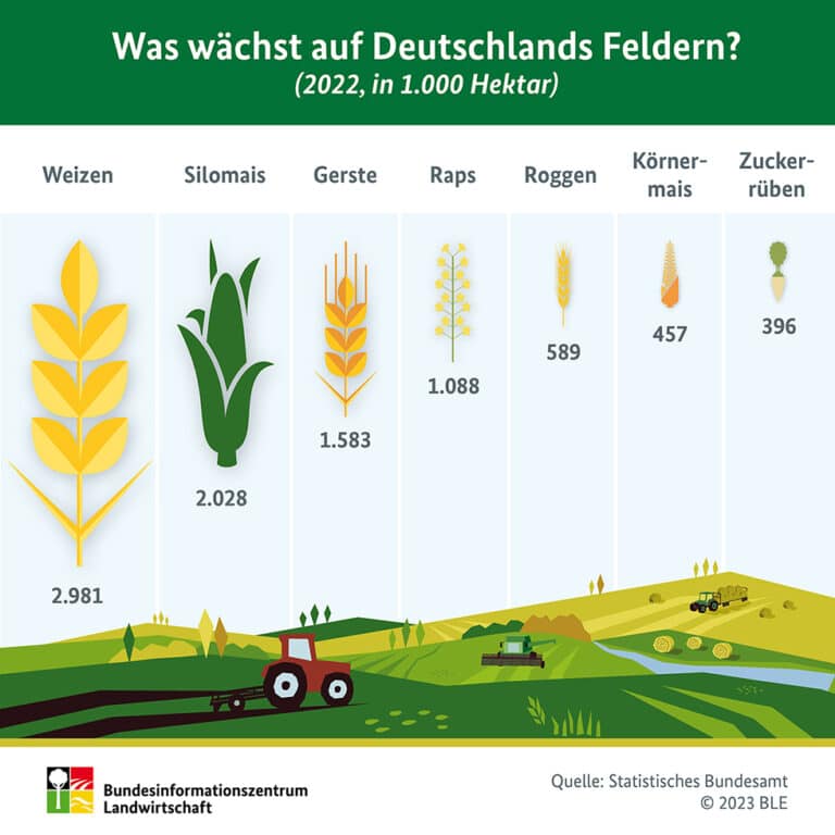 Was wächst auf Deutschlands Feldern?