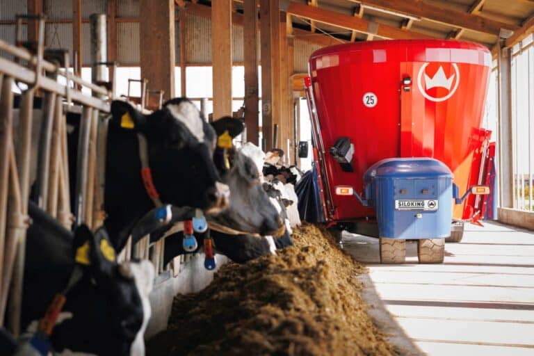 3000ster SILOKING Selbstfahrer ausgeliefert