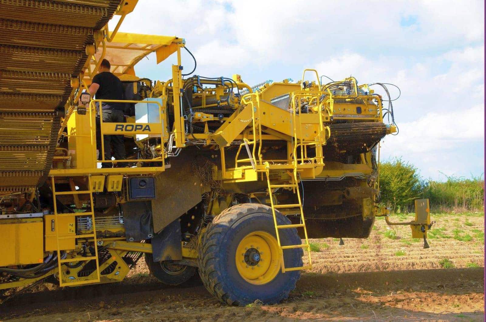 ROPA Keiler 2 DoubleSelect agribeauce ROPA Keiler 2 1