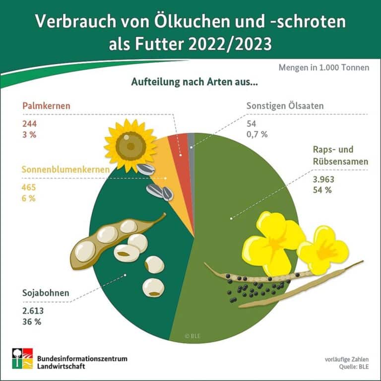 Verbrauch von Ölkuchen und -schroten als Futter