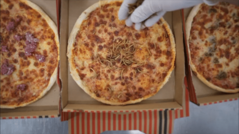 Ekelpaket.de am Start: Was wir in Zukunft essen sollen, aber lieber gleich auskotzen würden – Freie Bauern