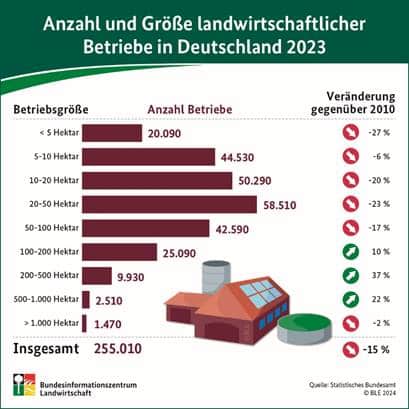 Wie viele landwirtschaftliche Betriebe gibt es in Deutschland und wie groß sind sie?