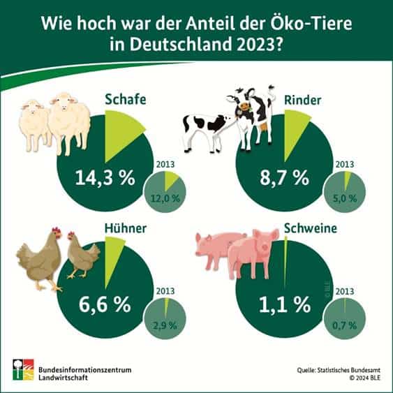 Wie hoch war der Anteil der Öko-Tiere in Deutschland 2023?