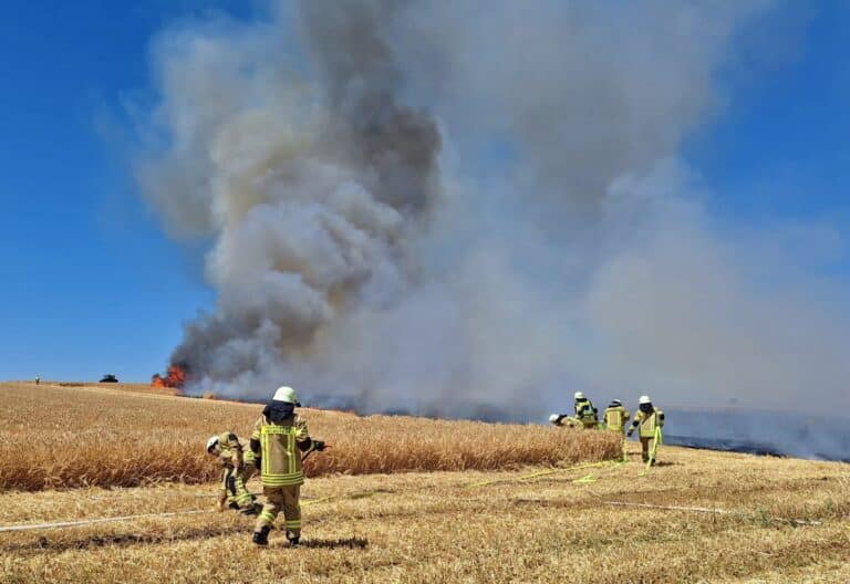 Brand eines Getreidefeldes in Helmstedt