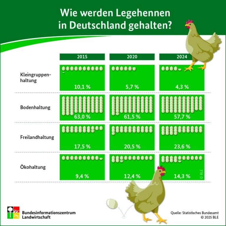 Wie werden Legehennen in Deutschland gehalten?