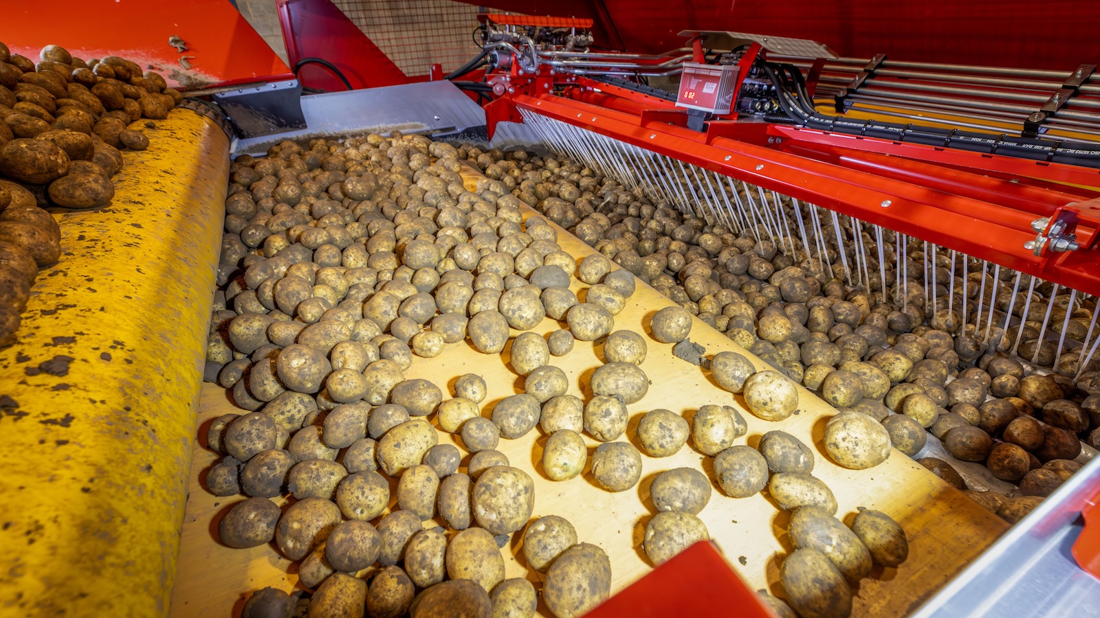 GRIMME MultiSep für RH 24-Schüttbunker: Mehr Abreinigung bei nassen Bedingungen 2 RH 24 60 MultiSep Praesentierband ©GRIMME 2