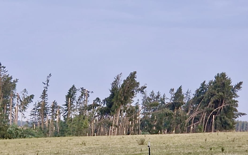 Unwetter im Landkreis Freising: Schwere Schäden in Mauern und Hörgertshausen 2 Schwere Sturmschäden in einem Wald bei Mauern im Landkreis Freising. Zahlreiche Fichten wurden durch das Unwetter geknickt oder stark beschädigt.